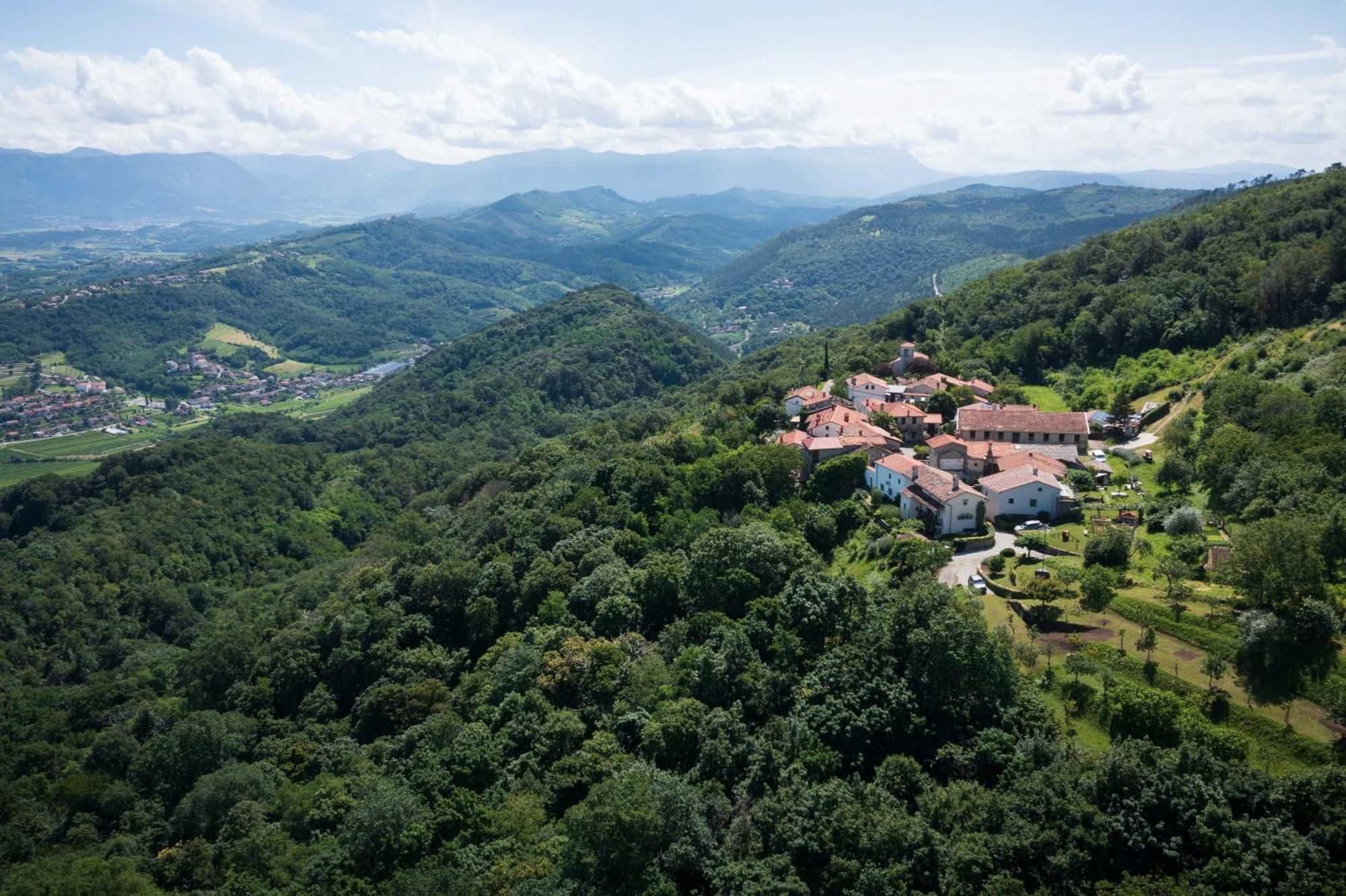 Villa Artes With Free Hot Tub & Sauna Branik Esterno foto